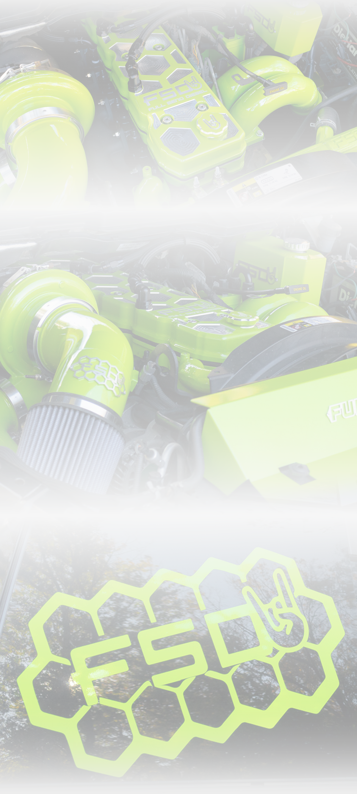 Section background image